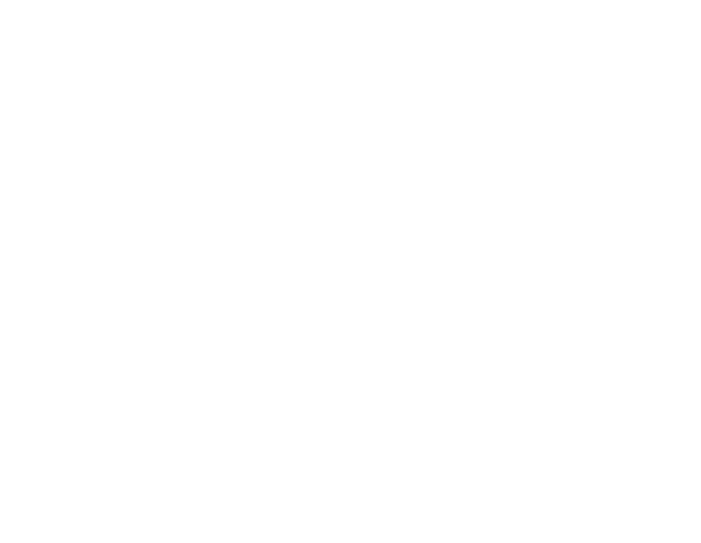ION & Partners Logo